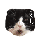サバブリ（個別スタンプ：6）