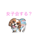 たくるみかくにや（個別スタンプ：8）
