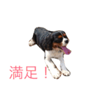 たくるみかくにや（個別スタンプ：17）