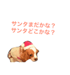 たくるみかくにや（個別スタンプ：18）
