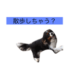 たくるみかくにや（個別スタンプ：19）