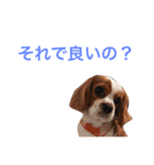 たくるみかくにや（個別スタンプ：22）