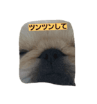 peki  marri（個別スタンプ：5）