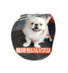 peki  marri（個別スタンプ：7）