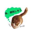 高橋さんちの大福さん（個別スタンプ：4）