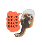 高橋さんちの大福さん（個別スタンプ：9）