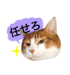 高橋さんちの大福さん（個別スタンプ：29）