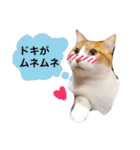 高橋さんちの大福さん（個別スタンプ：30）