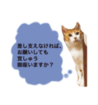 高橋さんちの大福さん（個別スタンプ：32）
