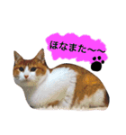 高橋さんちの大福さん（個別スタンプ：37）