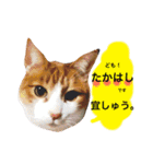 高橋さんちの大福さん（個別スタンプ：40）