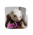 我が家の動物たち（個別スタンプ：7）