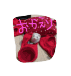 我が家の動物たち（個別スタンプ：8）