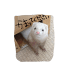 我が家の動物たち（個別スタンプ：34）
