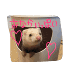 我が家の動物たち（個別スタンプ：39）