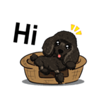 Kesha,Chizik,Odin（個別スタンプ：1）