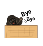 Kesha,Chizik,Odin（個別スタンプ：8）