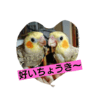 ときどき田川弁なオカメ（個別スタンプ：12）