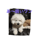ひとことメッセージ 犬バージョン part1（個別スタンプ：1）
