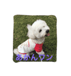ひとことメッセージ 犬バージョン part1（個別スタンプ：3）