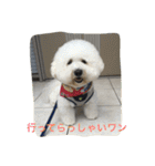ひとことメッセージ 犬バージョン part1（個別スタンプ：6）