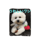 ひとことメッセージ 犬バージョン part1（個別スタンプ：7）