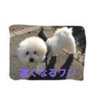ひとことメッセージ 犬バージョン part1（個別スタンプ：9）