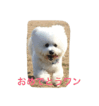 ひとことメッセージ 犬バージョン part1（個別スタンプ：10）