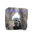ひとことメッセージ 犬バージョン part1（個別スタンプ：15）