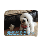 ひとことメッセージ 犬バージョン part1（個別スタンプ：18）
