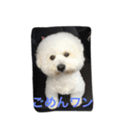 ひとことメッセージ 犬バージョン part1（個別スタンプ：19）