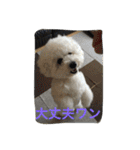 ひとことメッセージ 犬バージョン part1（個別スタンプ：22）