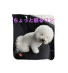 ひとことメッセージ 犬バージョン part1（個別スタンプ：23）