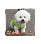 ひとことメッセージ 犬バージョン part1（個別スタンプ：24）