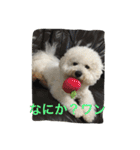 ひとことメッセージ 犬バージョン part1（個別スタンプ：25）