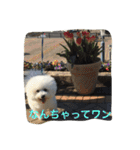 ひとことメッセージ 犬バージョン part1（個別スタンプ：26）