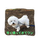 ひとことメッセージ 犬バージョン part1（個別スタンプ：27）