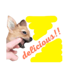 仲良し3兄弟犬（個別スタンプ：9）