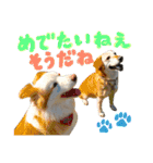 スズセリミジカ2（個別スタンプ：1）