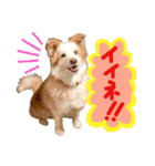 スズセリミジカ2（個別スタンプ：3）