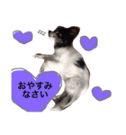 らんさんのスタンプ（個別スタンプ：10）
