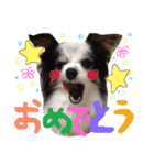 らんさんのスタンプ（個別スタンプ：14）