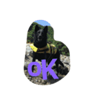 AustralianKelpie（個別スタンプ：11）
