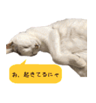 キュートなペット達（個別スタンプ：4）