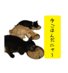 キュートなペット達（個別スタンプ：7）