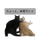 キュートなペット達（個別スタンプ：11）