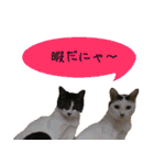 キュートなペット達（個別スタンプ：12）