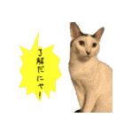 キュートなペット達（個別スタンプ：17）