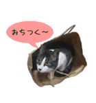 キュートなペット達（個別スタンプ：32）