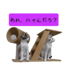 キュートなペット達（個別スタンプ：34）